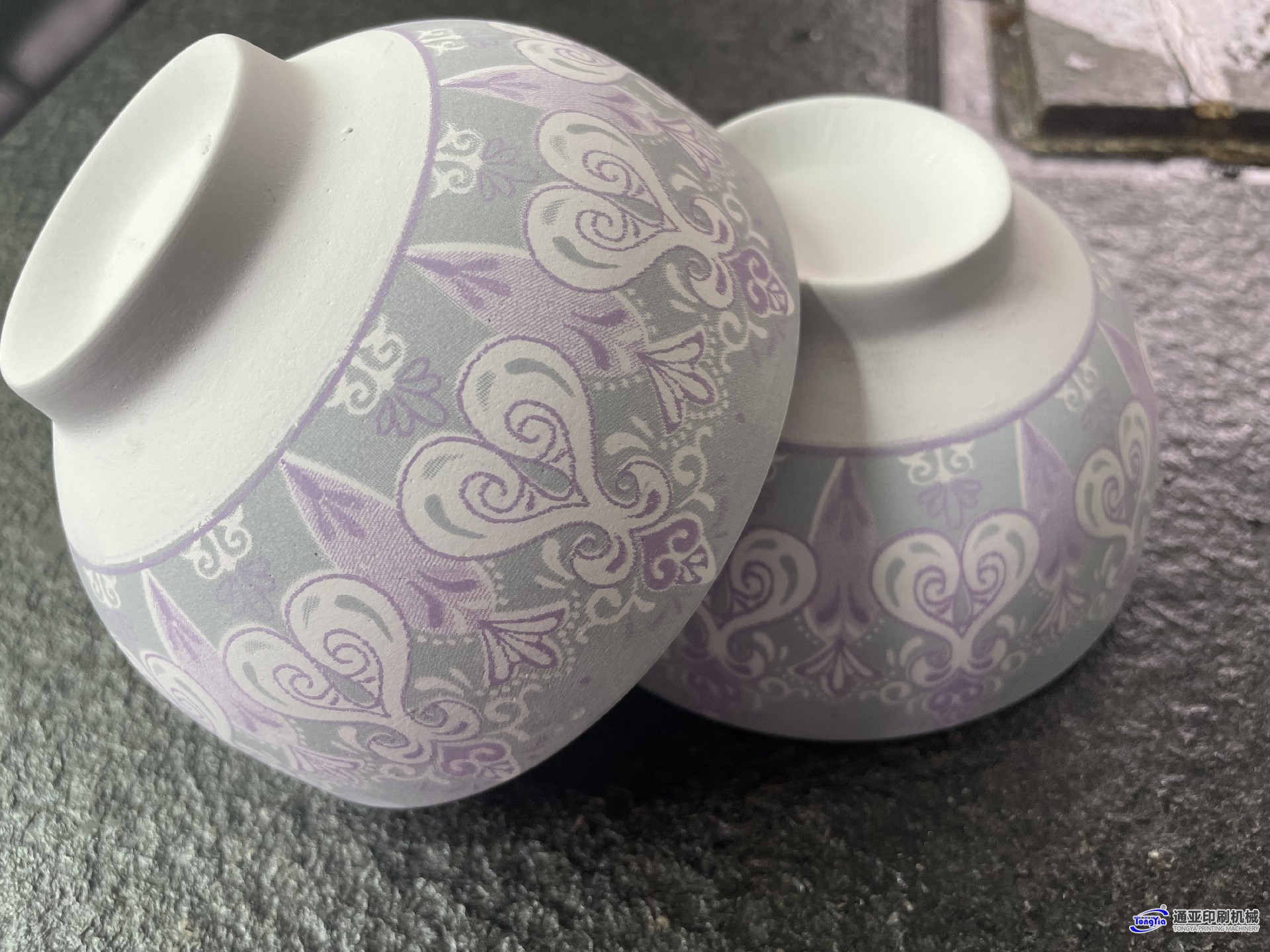 TY-S202陶瓷双色伺服移印机